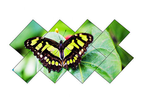 Wall Mounted Narrow Bezel LCD Video Wall 1209.6mm X 680.4mm 8 Bit 16.7M Color